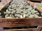Délit de Gourmandise - Amandes Fraîches Bio - 5 kg