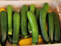 Le Pré de la Rivière - Courgettes vertes bio 800g - Origine France