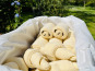 Ferme Sereine en Périgord - Lot 12 pains au chocolat + 12 croissants PUR BEURRE gourmand SURGELÉS