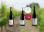 Domaine de la Chopinière du Roy - Coffret cadeau "A la découverte des vins rouges de Loire "- 3 x 75 cl