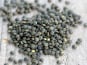 La Ferme des Ecureuils - Lentilles vertes Bio – 5000g