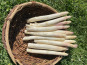 Des Poules et des Vignes à Bourgueil - Asperges Argenteuil
