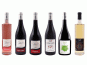 Domaine de la Perrée - Saint-Nicolas-de-Bourgueil & Bourgueil - Coffret Découverte 6 bouteilles