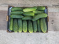 Ferme de la ville basse - Cornichons  Bio Mi-gros frais 2kg