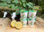 Lait Prairies du Boulonnais - Yaourt brassé au citron x10