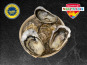 Le Termer - Huîtres de Normandie IGP N°2-70 Pièces "Saveurs de Normandie"