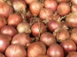Maison Quéméner - Oignons De Roscoff Aop - 20kg / lot de 4x5kg