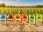 Grain Pop - Popcorn micro-ondable - lot toutes saveurs