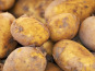 Gourmets de l'Ouest - Pommes de terre nouvelles, cat. I, cal.35+, origine France
