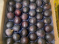 L'OLIVERAIE DU COUDON - FIGUES  AOP SOLLIES  (colis de 1kg600 env)