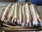 Domaine Reverchon - Asperge blanche 1kg