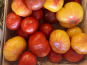 Domaine Reverchon - Tomate ancienne 2kg