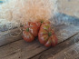Les Jardins de Gérard - Tomate Noire de Crimée Bio - 1 kg