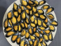 Opale Vivier - Moules de cordes 1kg