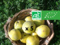 LES JARDINS DE KARINE - Coing frais - 5kg