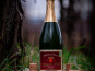 Domaine François WECK et fils - Crémant - 75 cl x12