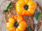 Les Champs Paradis - Tomate ananas 1kg
