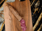 Maison Biau - Saucisson de porc noir 300g