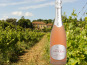 Château Saint Estève d'Uchaux - Méthode Traditionnelle IGP Méditerranée Brut Rosé BIO Spécial Privilège de St Estève