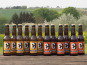 Micro brasserie Blessing - PACK BIERES – 6 blondes + 6 ambrées – 12x33cl