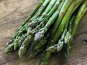 Langevine - Asperge Verte - 400g
