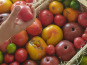 Le Cayre de Valjancelle - Bruno Cayron et Isé Crébely - Tomates anciennes en mélange - 5,5kg
