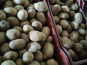 Mademoiselle Châtaigne - Pomme de terre Marabel Grosses