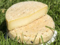 La Vache Charentaise - Lot de 2 La Tomme Charentaise 2x250g