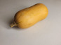 Maison Quéméner - Butternut x 5 pièces (environ 5 kg)