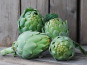 La Boite à Herbes - Artichaut Vert Bio 1 kg