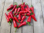 SCEA HERBA HUMANA - Piment Goria 1kg