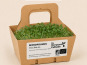 Ma Micropousse culinaire - Micro-pousses bio de chou kale – 4 barquettes