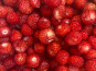 Des Poules et des Vignes à Bourgueil - Fraises des bois