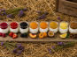 Gaec de l'Elanion - Lot De 16 Yaourts mélangé 1 - 2kg