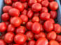 Domaine Reverchon - Tomates roma 8KG (idéal coulis, conserve, sauce maison…)