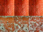 Lionel Durot - Gravlax de saumon Label Rouge collection automne hiver