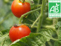 Mon Petit Producteur - Tomate Cerise Bio - [vendu Par 500 g]+