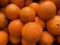 Le Potager de Sainte-Hélène - Orange navel bio de Sicile