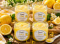 Gaec de l'Elanion - Crème Citron x4