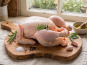 Terres de Bon Sens - Poulet BIO medium env 1,9kg