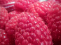 Ferme Joos - Framboises de terre - barquette de 250gr