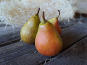 Les Jardins de Gérard - Poire Williams Bio - 1 kg x 5