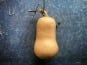 La Ferme d'Artaud - Butternut - 1kg