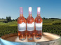 Château Haut-Lamouthe - Bergerac Rosé AOC - 3x75cl