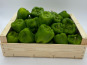 Le Panier du Producteur - Poivron vert