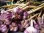 L’Oliveraie du Coudon - AIL VIOLET  1KG