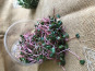 Le Maraîcheur - Micropousse de radis 100g