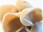Adal Terra - Pâtes - Orecchiette Blés Anciens Biodynamiques 500G