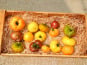 Nature et Saveurs - Ferme Aquaponique et Permacole Astérienne - Tomates grosses et anciennes en mélange – le goût authentique