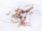 Poissonnerie La Piriacaise - Encornet (ou calmar) 500g préparé
